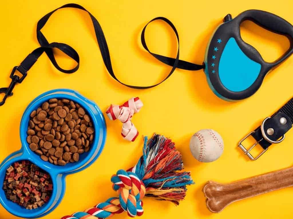 animales y mascotas